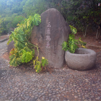 仙井