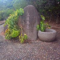 仙井