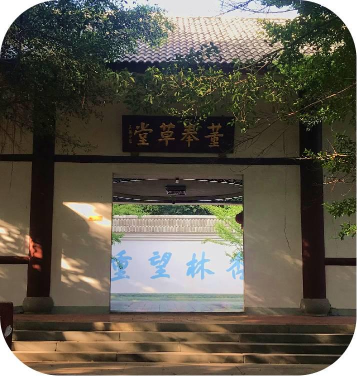 杏林望重