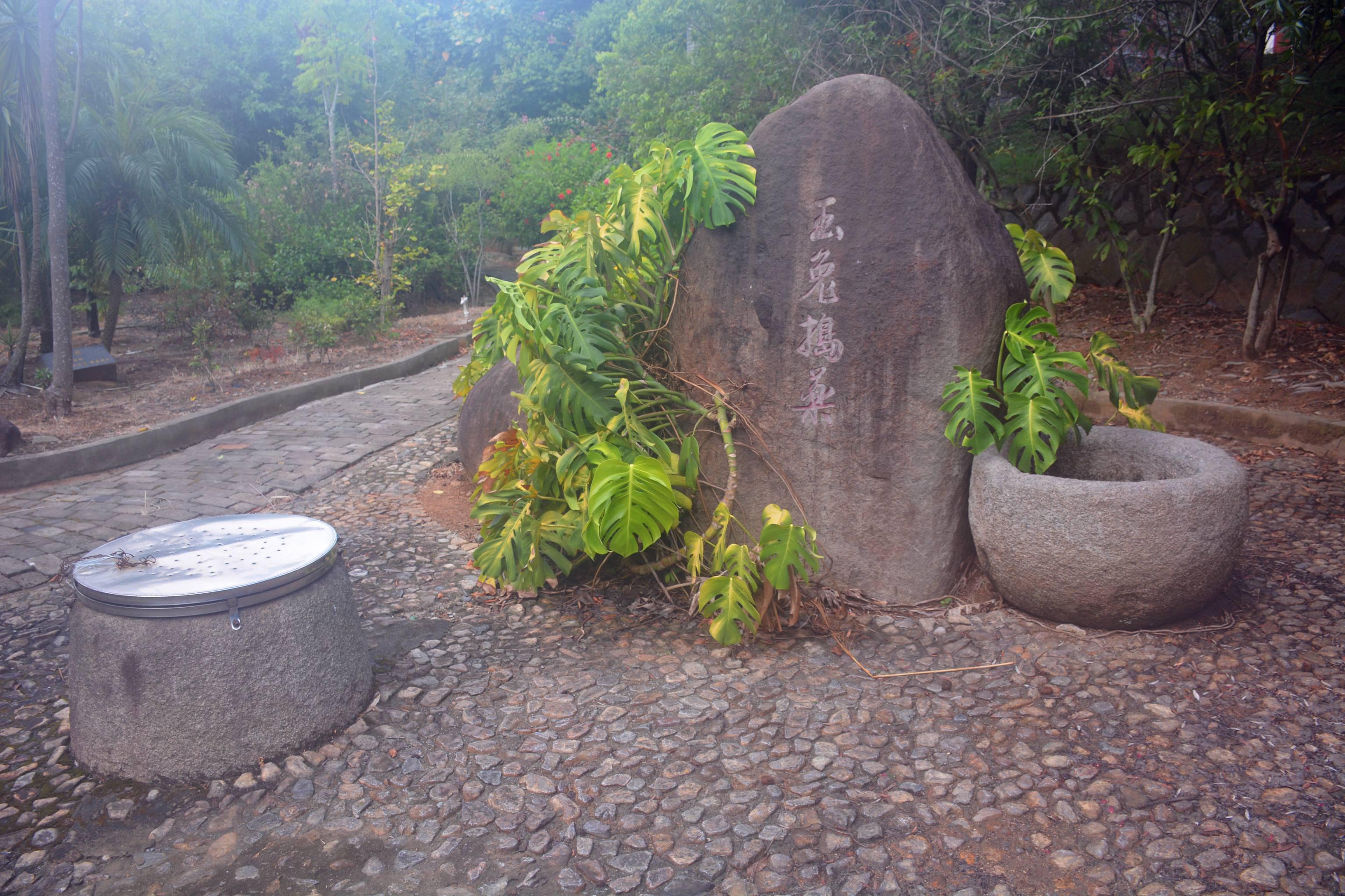 仙井