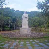 中医养生治未病重在“四调”