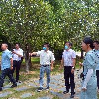 德化县中医院院长一行到区中医院及董奉草堂参观交流