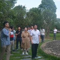 连江县卫健局局长一行至董奉草堂中医药文化宣传教育基地参观调研